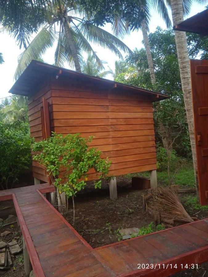 Homestay Coco By Thush Bentota
