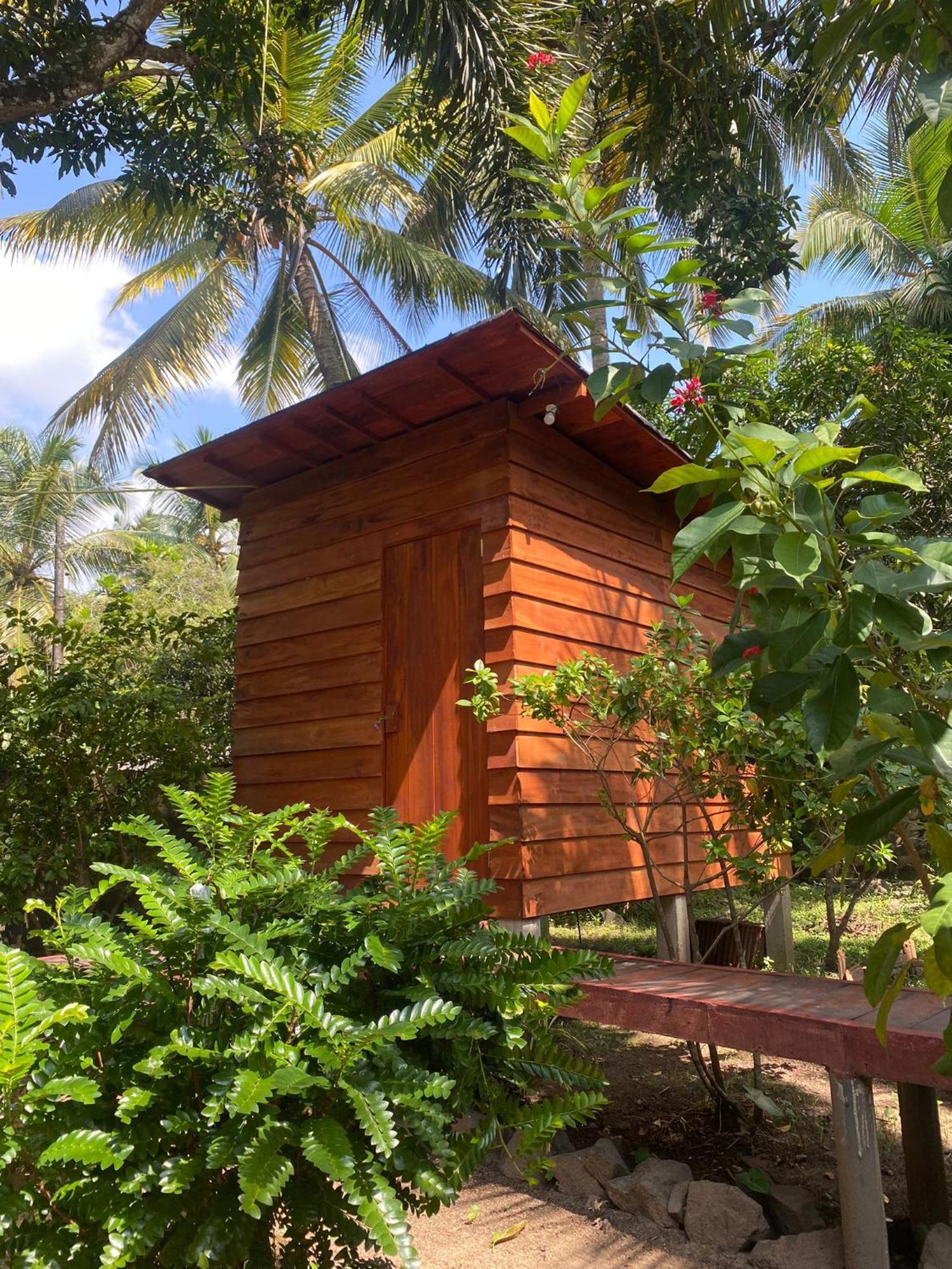 Homestay Coco By Thush