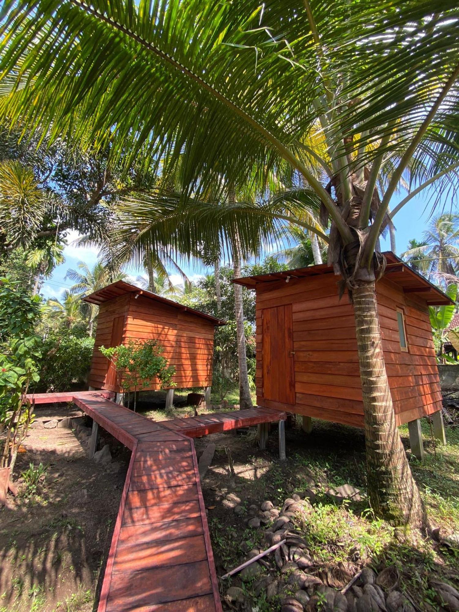 Homestay Coco By Thush